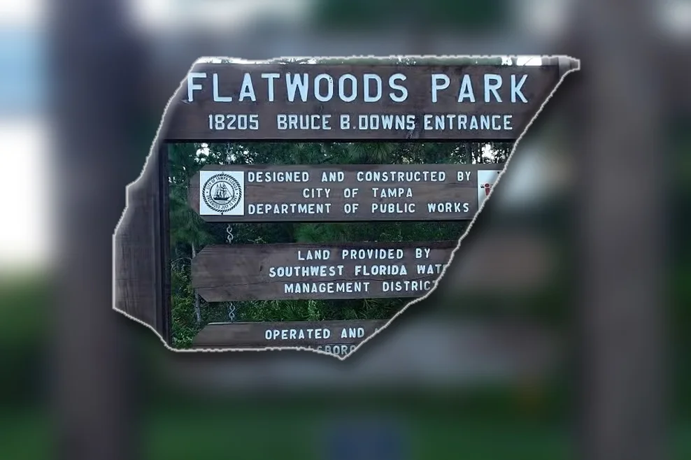Mothermind Psychology providing mental health and wellness services near Flatwoods Park in Tampa, Florida