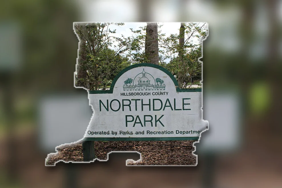 Mothermind Psychology providing mental health and wellness services near Northdale Park in Tampa, Florida